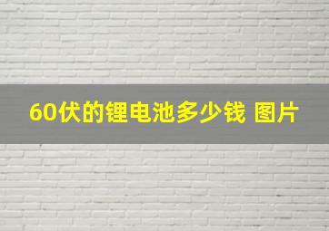 60伏的锂电池多少钱 图片